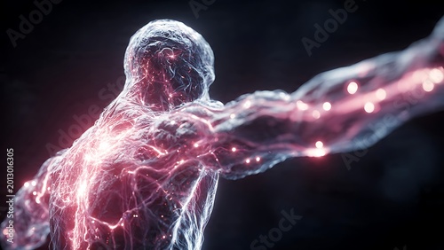 3d render of human muscular and nervous system illuminated in dark background