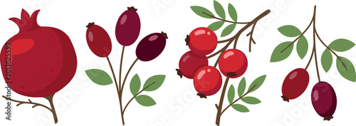 Bild auf Leinwand Illustration of Pomegranate and Various Red Berries with Branches and Leaves for