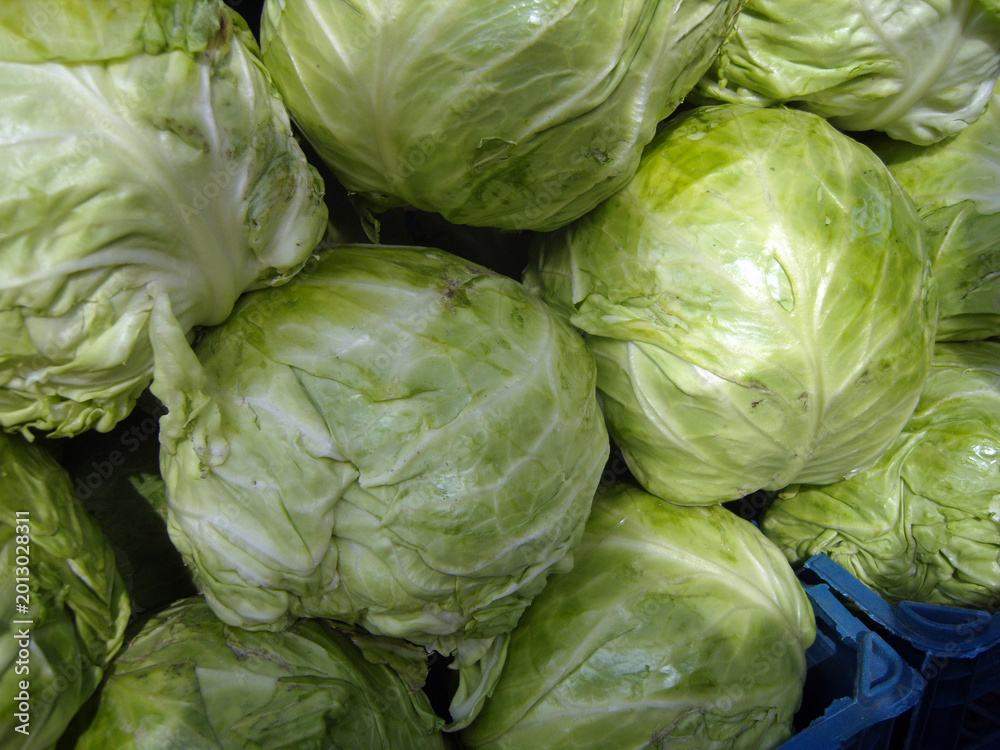 Obraz premium Dense pile of fresh green cabbages is shown in a close-up view. The tightly packed leaves and pale green color highlight the crisp texture of this healthy, organic harvest found at a local market