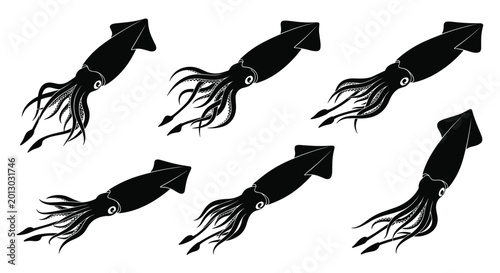 Group of six detailed black silhouettes of squids swimming in different directions against a solid white background.