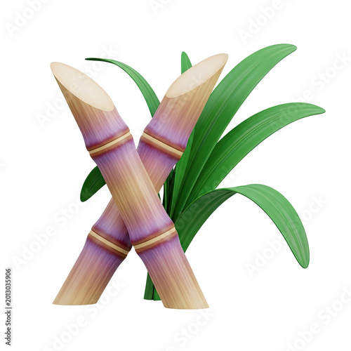 Sugarcane stalks with green leaves
