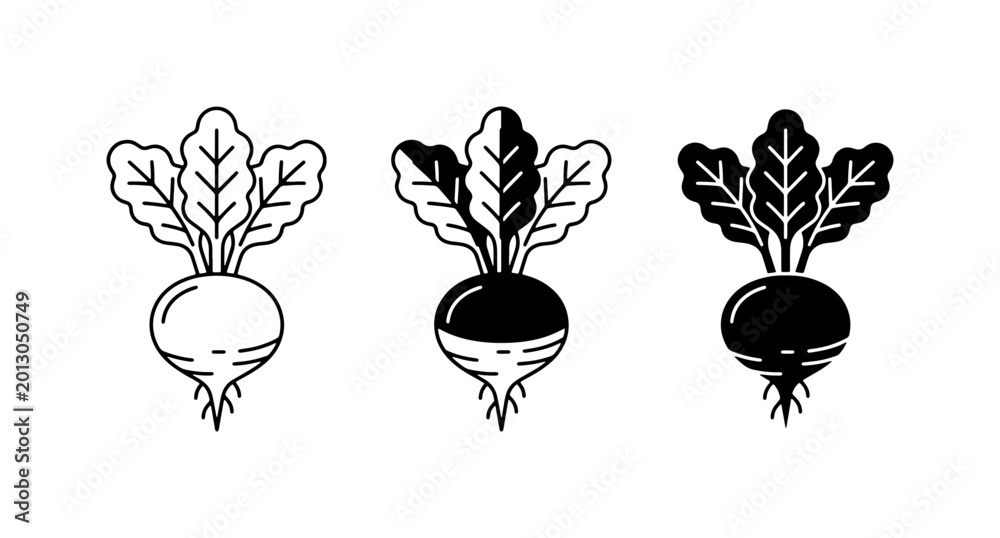 Fototapeta premium Beetroot Icon Set, Root Vegetable Vector Graphics, Organic Food Illustrations, Healthy Eating Symbols