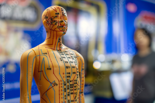 Fotografie Traditional Chinese Medicine Acupuncture Meridian Model on Display