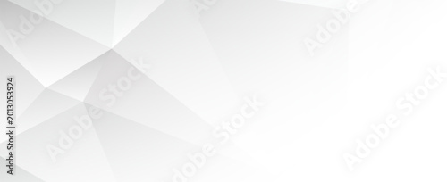 White and Grey Geometric Triangle Pattern Abstract Polygonal Background Vector