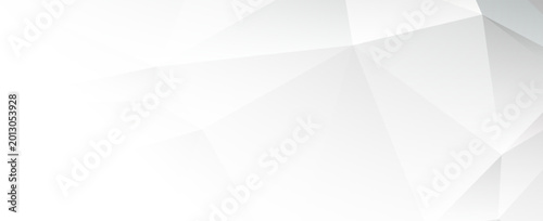 White and Grey Geometric Triangle Pattern Abstract Polygonal Background Vector