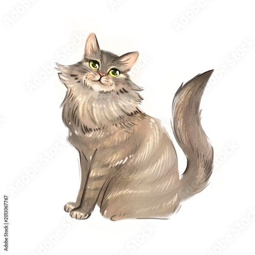 Canvastavla Hand drawn painting, fluffy gray cat illustration isolated on white background,