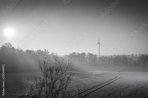 Bild auf Leinwand Frost auf den Feldern, Nebel zwischen den Bäumen und das Windrad als einsamer Wächter am Horizont
