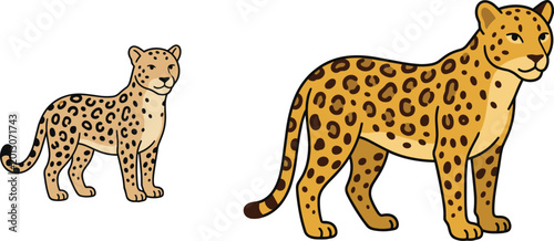 Photography Cute Leopard Wild Cat Collection Featuring Spotted Jungle Predator Animals in Fl