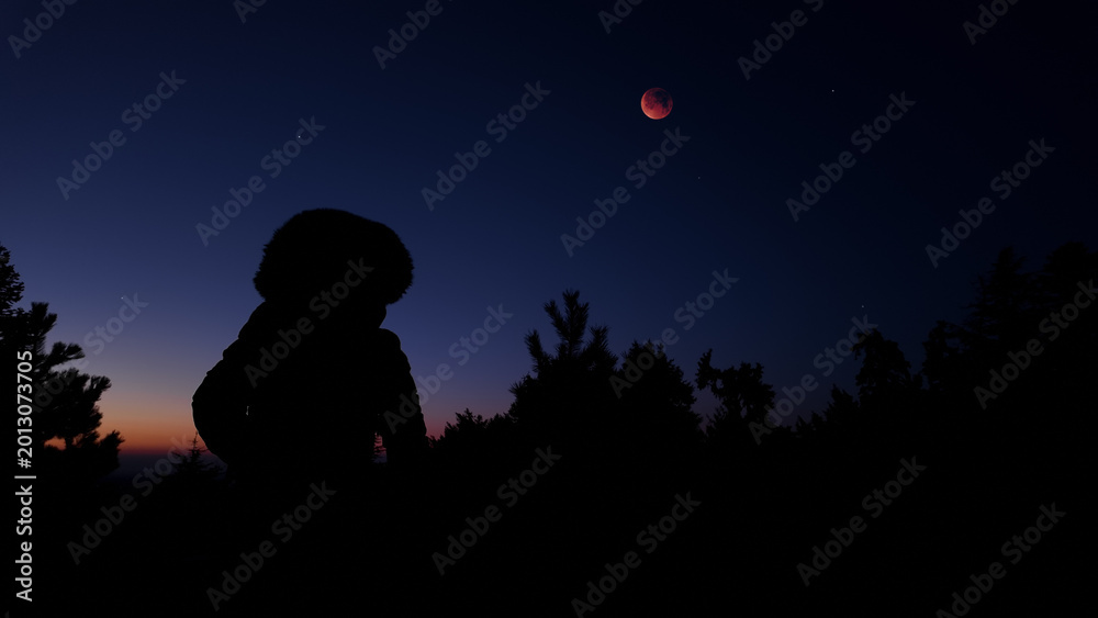 Fototapeta premium Amateur astronomer observing stars, planets, Moon and other celestial objects.