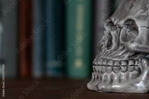 Close-up of an artificial skull on a shelf with blurred books in the background