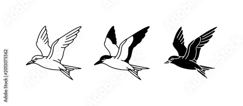 Foto Seabird Flight Variations: Outline, Two-Tone, and Silhouette Vector Icons for Co