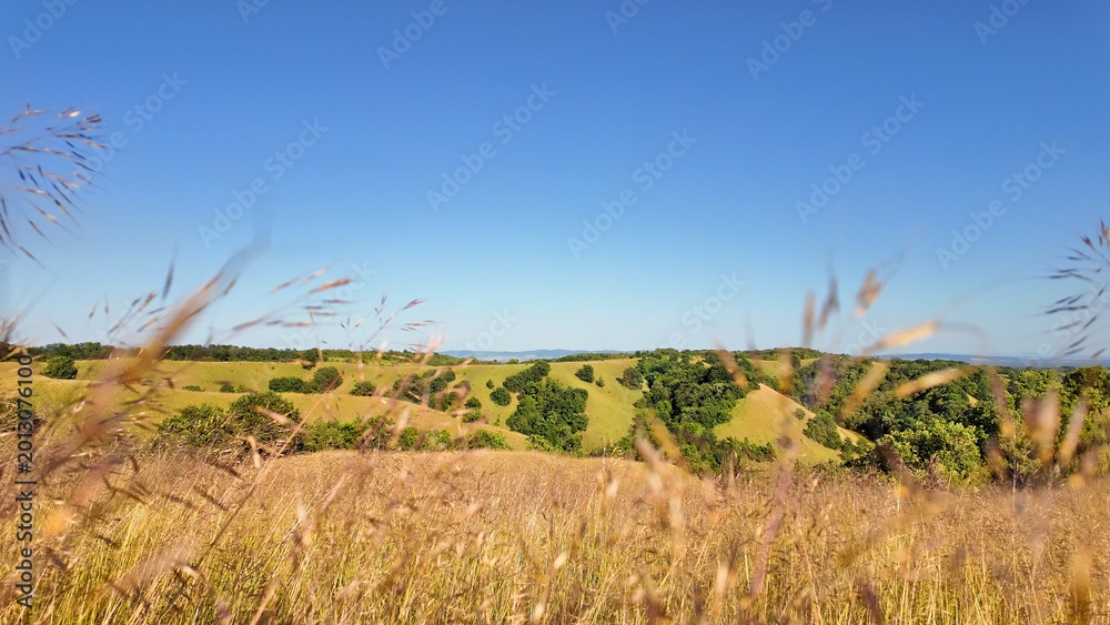 Fototapeta premium Tranquil sunny summer landscape with green fields and hills in south-eastern Europe, Serbia.