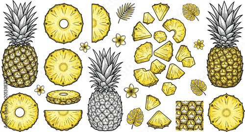 Quadro su tela Pineapple Illustration Set Featuring Whole, Sliced, and Chopped Fruit with Tropi