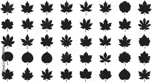 Collection of diverse black leaf silhouettes and nature