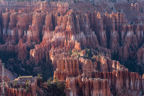 Εκτύπωση καμβά Vast Amphitheater View at a Western United States National Park