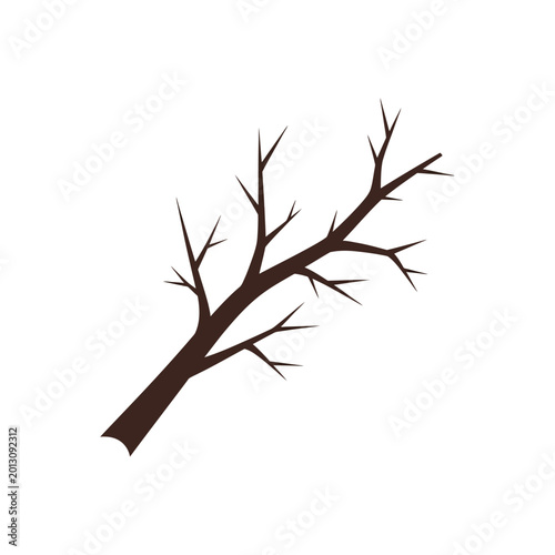 Fotografía Bare Tree Branch Silhouette Isolated on White Background