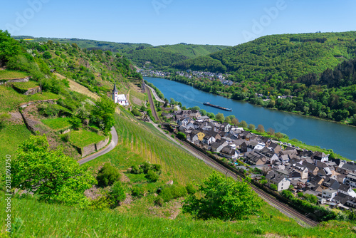 Εκτύπωση καμβά Picturesque Moselle Valley with St