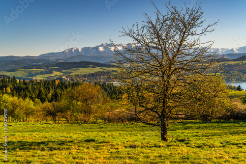 Scenic view of Czorsztyn Lake with mountains and trees in Poland