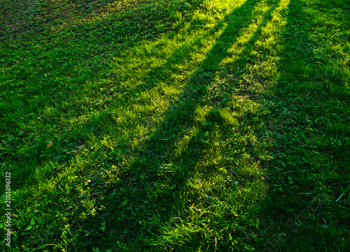 Diagonal dramatic light ray on green lawn backdrop