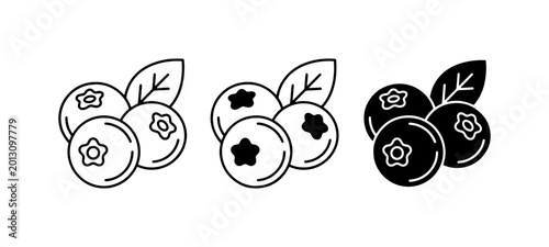 Blueberry Icons Set, Fresh Berries Vector Graphics, Healthy Fruit Illustrations for Food Design