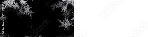 Konstfotografi Frost pattern ice crystals texture overlay isolated on black and transparent background for winter design elements