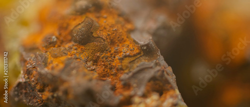 Pyromorphite and Mimetite crystals on Limonite from Congo Micrograph shot with 5x microscope objective 7mm Field of View Shallow depth of field macro photography of rare geological mineral specimen