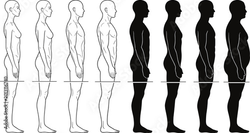 Fényképezés Human Body Type Evolution Vector with Male Silhouette Progression, Thin to Overw