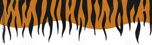 Seamless tiger stripe border. Horizontal pattern with exotic animal skin texture. Decorative tiger fur pattern for clothing and textile design.