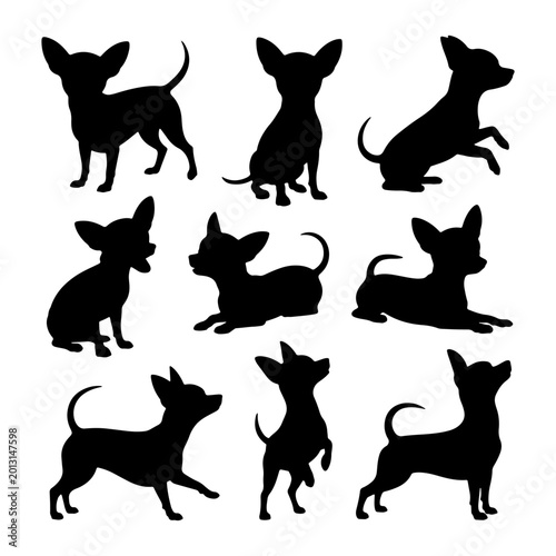 Silhouettes of chihuahuas in various playful poses on a white background