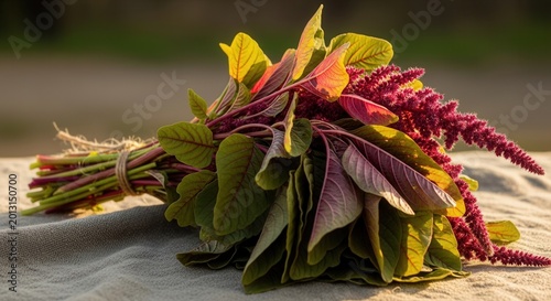 Vibrant Amaranthus Bunch Displayed Outdoors With Golden Hour Lighting