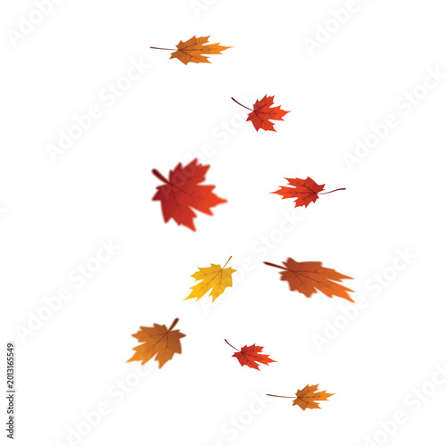 Obraz na płótnie Red and orange autumn leaves falling vertically on transparent background vector