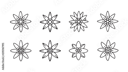 Eight delicate edelweiss flower outlines arranged in two rows on a white background