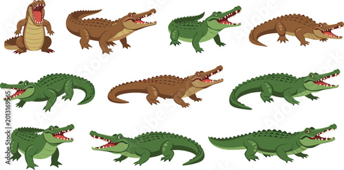 Schilderij op canvas Set of Green and Brown Crocodile Vector Illustrations Featuring Various Poses an
