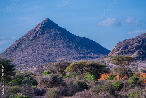 Tableau sur toile Lush riverine forest with doum palms and acacia trees under a blue sky in Meru National Park, Kenya
