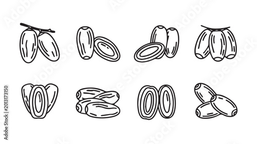 Fresh Dates Hand Drawn Line Art Collection Isolated on White Background Vector Illustration