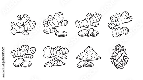 Ginger root and powder collection with slices in a clean white background for culinary and health concepts