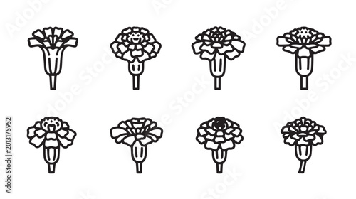 Marigold flower line art icons in a simple clean style against a white background