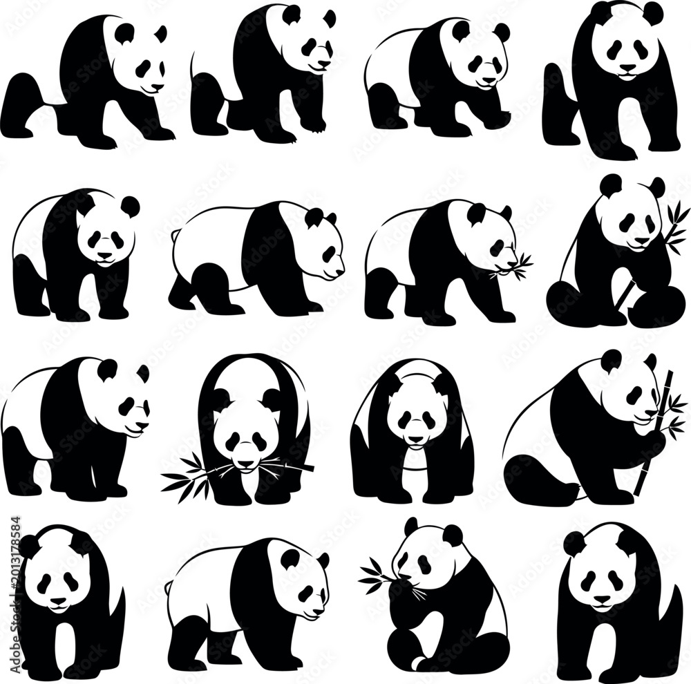 Obraz premium Giant panda silhouettes, vector collection of pandas in various poses eating