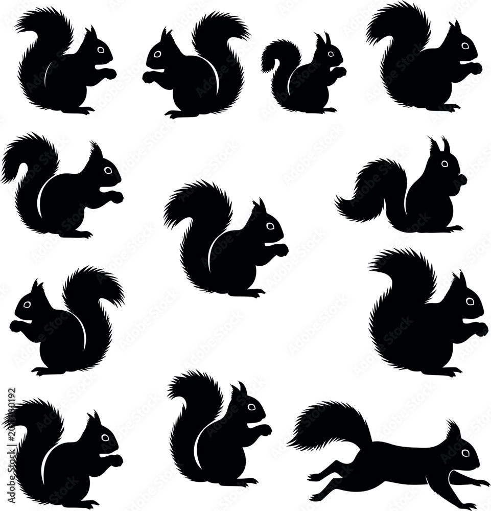 Fototapeta premium Squirrel silhouettes collection in dynamic poses - forest animal vector set