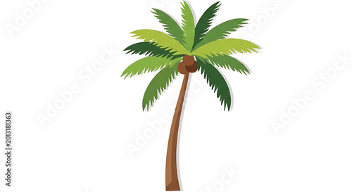 palm tree isolated on white