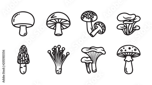 Various Hand Drawn Mushroom Icons in a Clean White Background with Outline Style