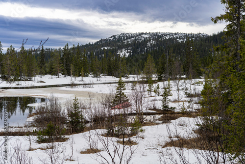 Amazing view of Norwegian mountains. Stunning landscape with traditional wooden houses and snowing tops on the horizon.