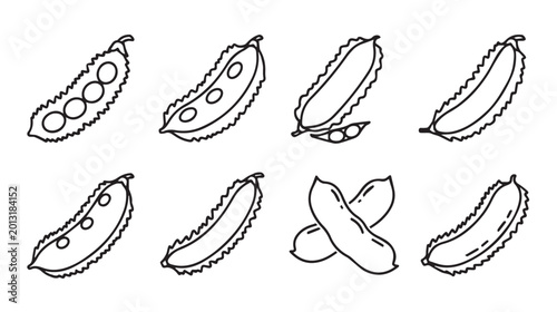 Various soybean pods in simple line art style on white background