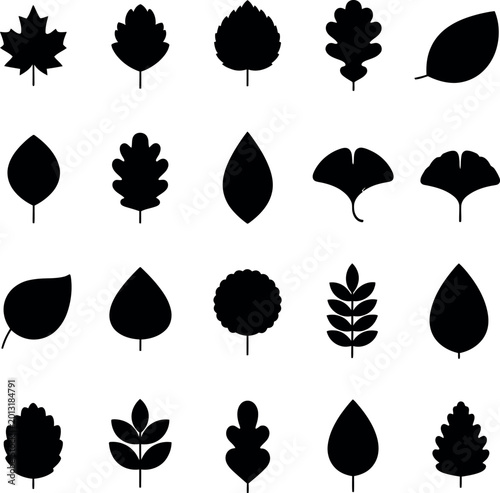 Collection of 20 black silhouette leaf icons with tear drop, leaf shape