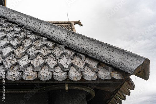 Pagan dragon heads and Christian crosses on the roof of the stave church in Norway. Authentic traditional Norwegian stabbur (raised wooden storehouse) in the rural landscape of Rjukan, Telemark.