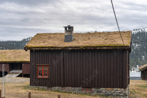 Aincent traditional Norwegian wooden house with a grass roof on the beautiful mountain landscape background. Plants and trees grow on the roof. 