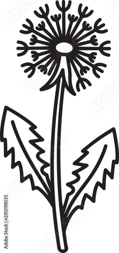 Hand Drawn Dandelion Flower Line Art Illustration Vector