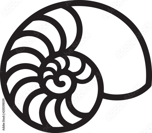 Nautilus Shell Spiral Line Art Vector Illustration