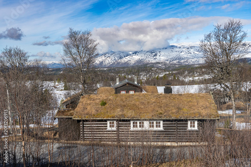 Aincent traditional Norwegian wooden house with a grass roof on the beautiful mountain landscape background. Plants and trees grow on the roof. 
