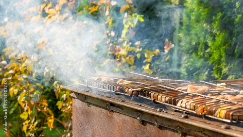 Photos Outdoor barbecue grill with sizzling meat and smoke rising, surrounded by colorf